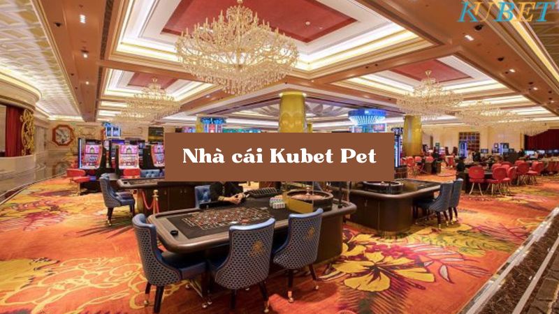 Kubet pet