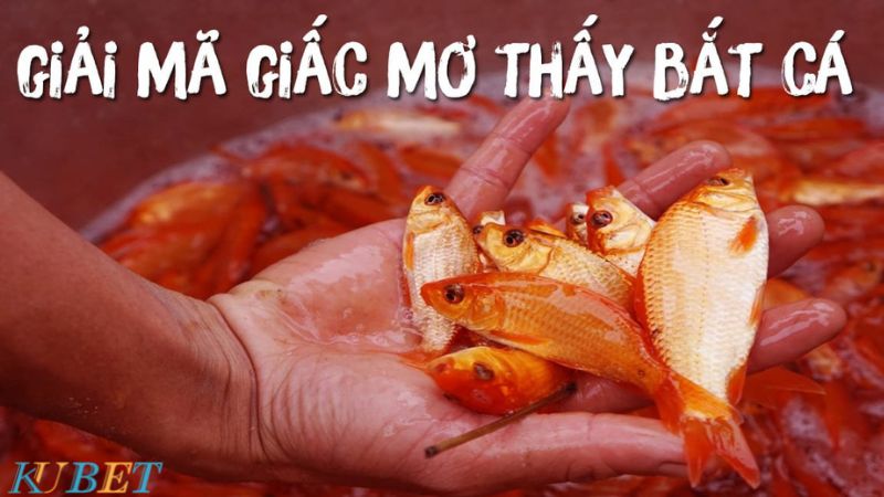 mơ bắt cá