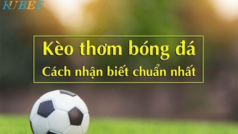 top kèo bóng ăn tiền hấp dẫn