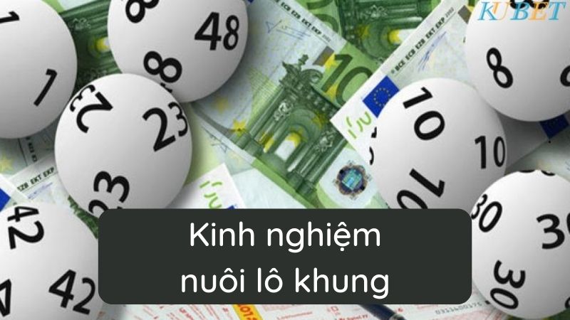 kinh nghiệm nuôi lô khung