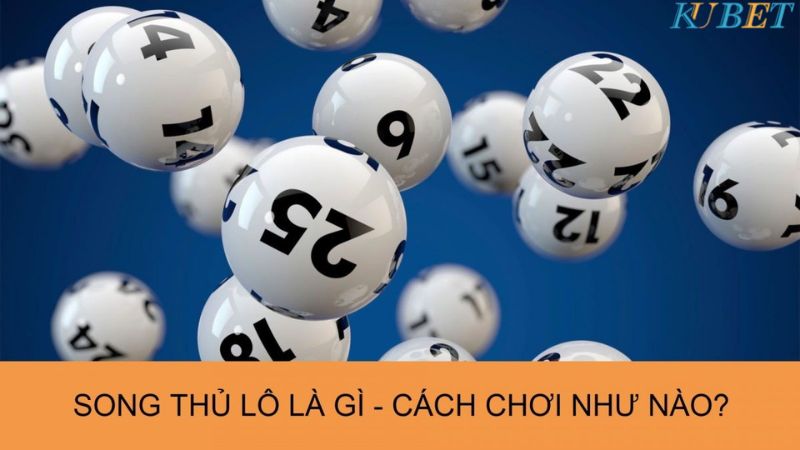 kinh nghiệm nuôi song thủ lô