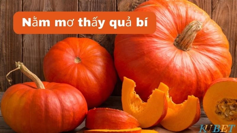 nằm mơ thấy quả bí