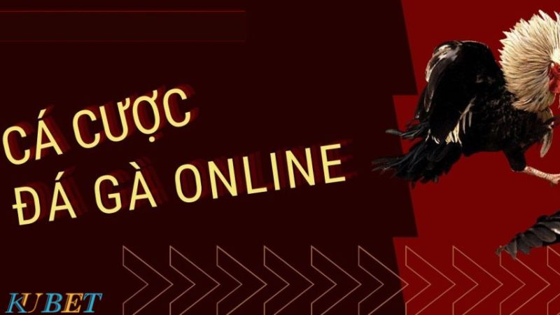 cá cược đá gà online